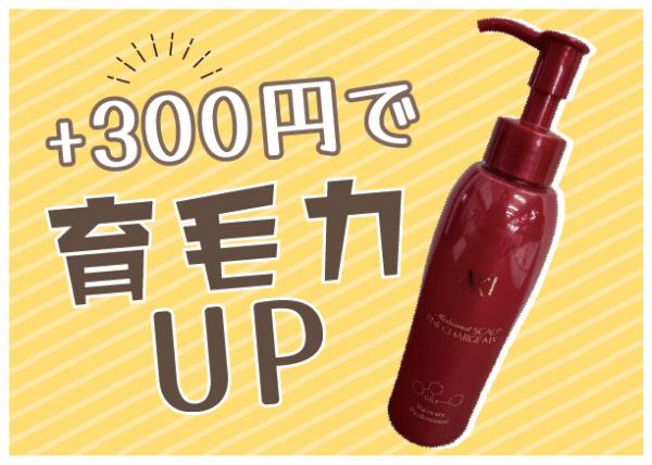 育毛追加メニュー★
