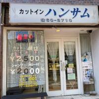 カットインハンサム