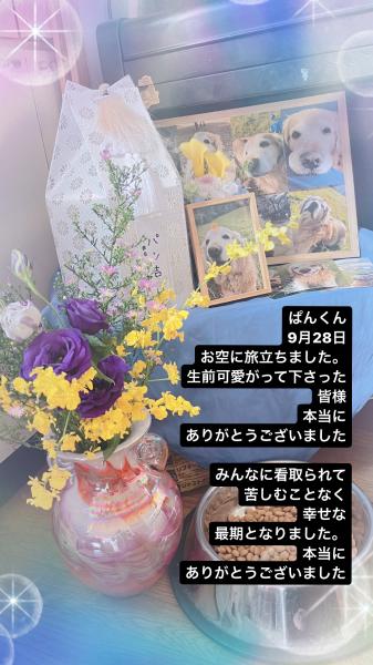 パンくんを可愛がって下さった皆様へ