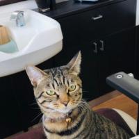 ヘアークリエイトサロンナカヤマ