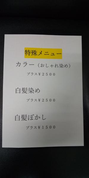 特殊メニュー