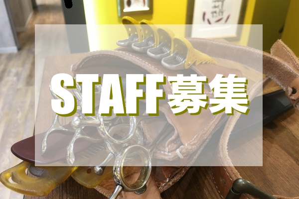 スタッフ募集