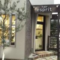 esprit hair