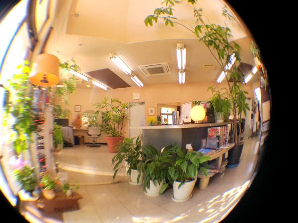 お店の風景