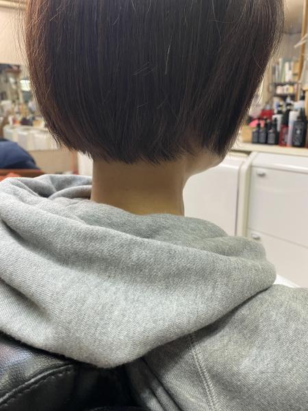 レディースカット