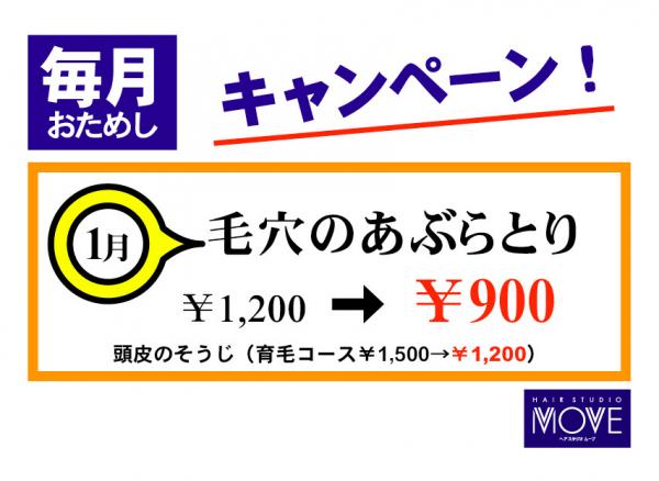 今月の、おためしキャンペーン!
