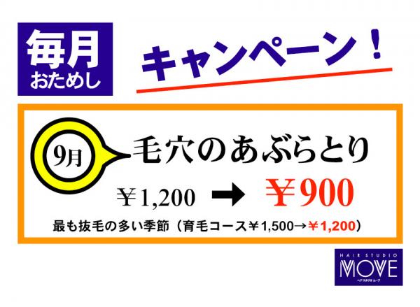 今月の、おためしキャンペーン!