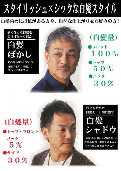 オプションメニュー