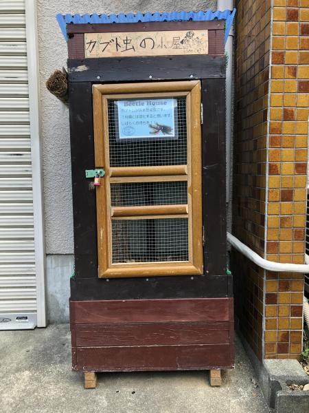 カブトムシ小屋