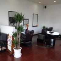 hair salon leaf