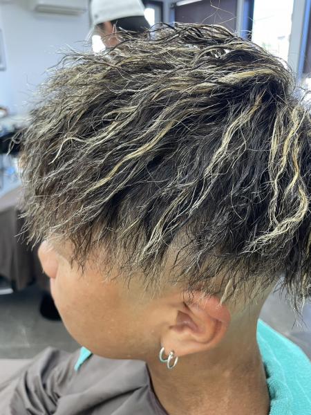 ツイスパメッシュ