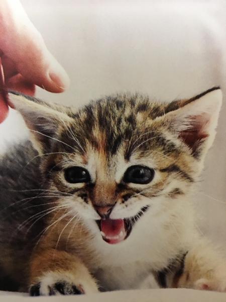 今週の年末予約状況