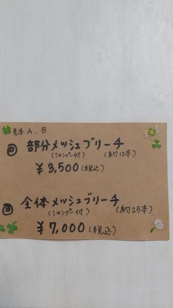 部分 メッシュブリーチ