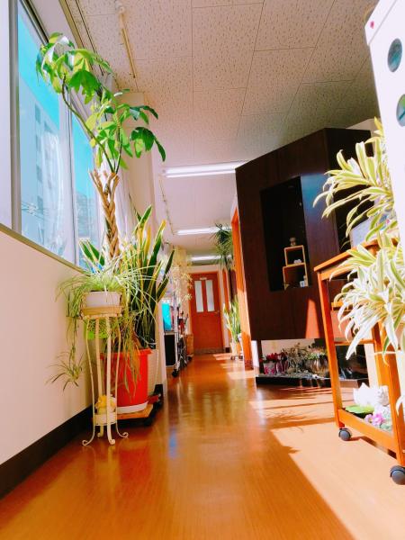 店内