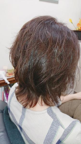 レディース「カット・カラー」