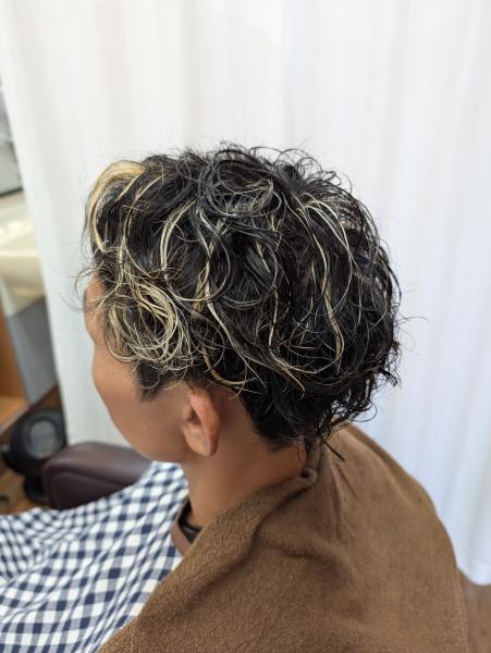 メッシュカラー