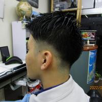 カットハウスシープラン