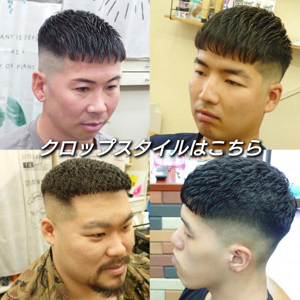 濡れパン✕クロップスタイル