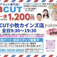 BBCUT  カインズホーム小牧店内