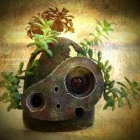 Fellow House フェローハウス