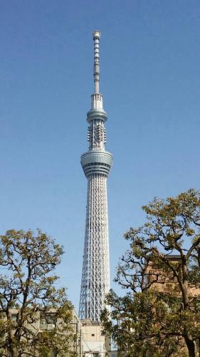 店頭からは…
