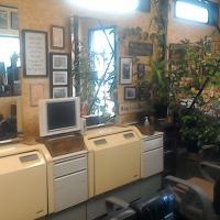 カット イン ミヤザキ