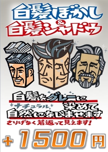 白髪シャドウ・ぼかし・かくし