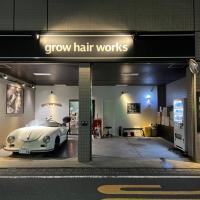grow hair works
