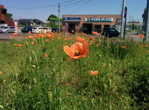 お店の風景