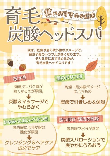 秋の頭皮ケア〜育毛スパ〜