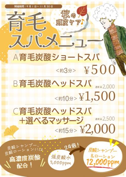 秋の頭皮ケア〜育毛スパ〜