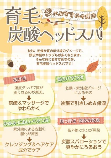 育毛スパメニュー