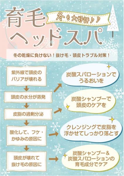 育毛　スパメニュー