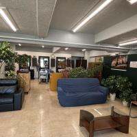 理容 スカッシュ