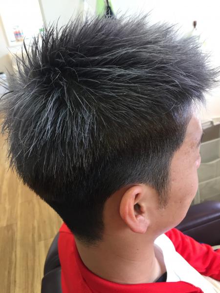 シルバーショート
