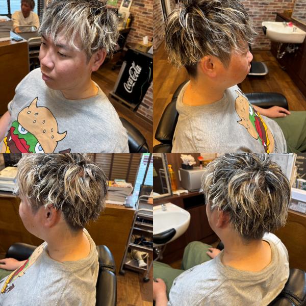 ホワイトメッシュ