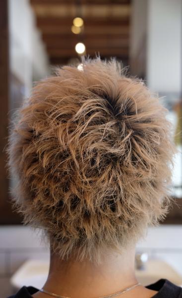 ブリーチスタイル