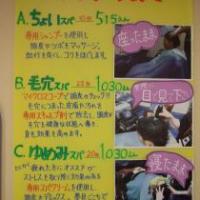 ヘアー スペース ミステル