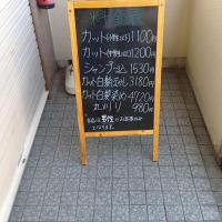 カットスタジオIR