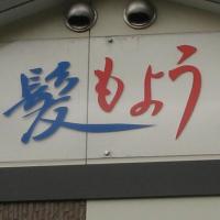 ひがなが・髪もよう