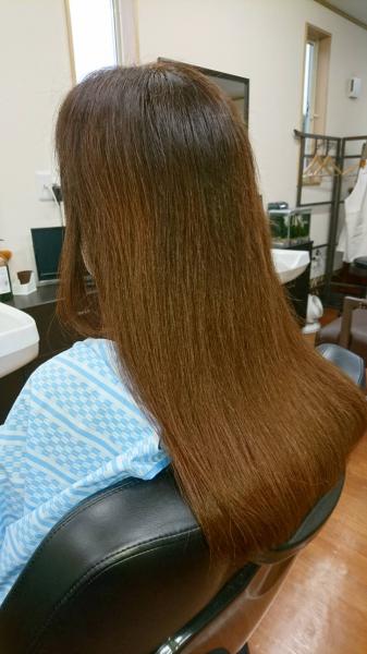 レディースカット&ヘアカラー
