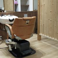 CORONA oasis of hair