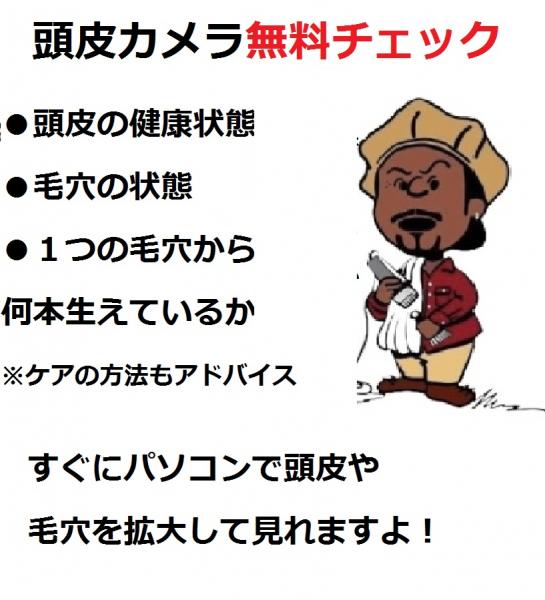 無料でチェック!