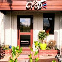 カットスタジオクロップ