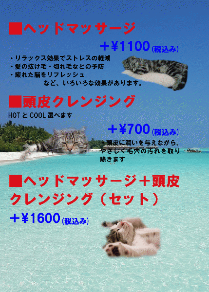 ヘッドマッサージ