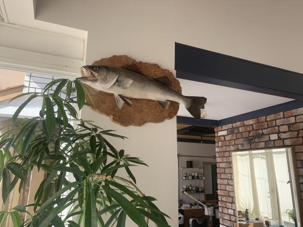 釣り 旅 自然を愛する田舎の小さな理髪店です
