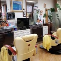 カットザウルス