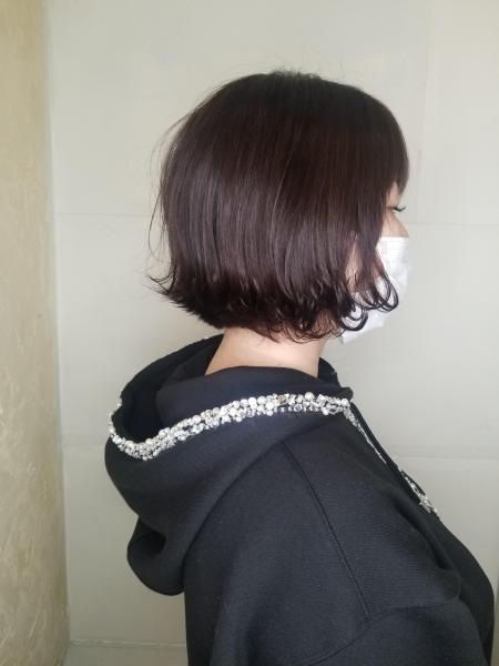 レディース