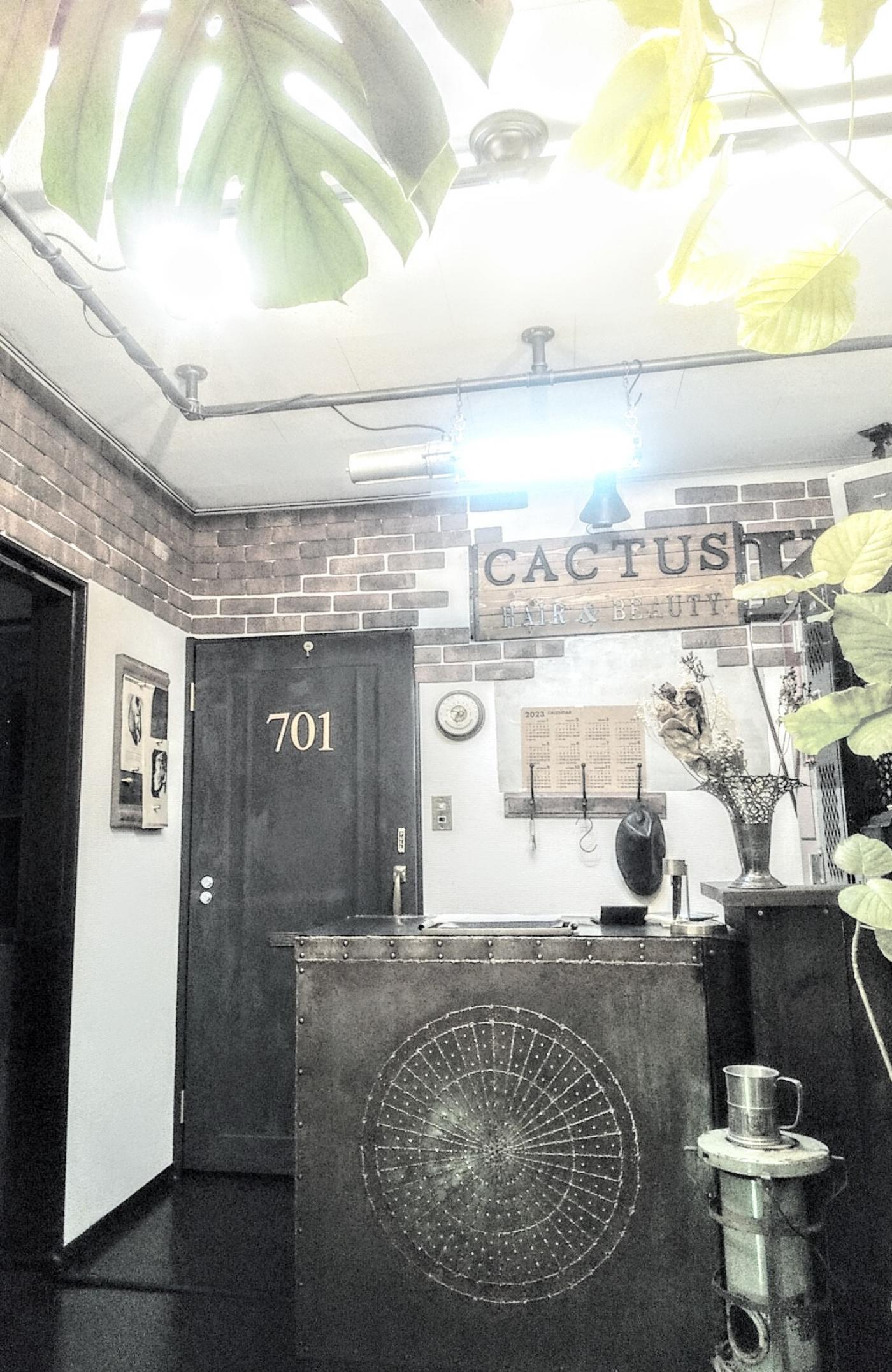 CACTUS HAIR&BEAUTY(白岡駅の美容室)
