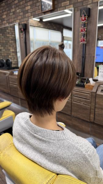 レディースショート